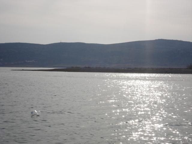 Apartments Zile Starigrad Paklenica Exterior foto